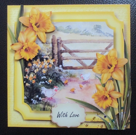 Daffodils & Chickens by Davina Rundle
