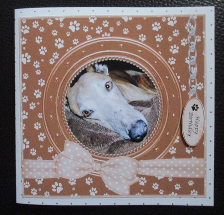 GREYHOUND THANK YOU AND VARIOUS OTHER SENTIMENTS by Davina Rundle