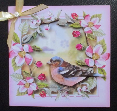 Blossom In Spring by Davina Rundle