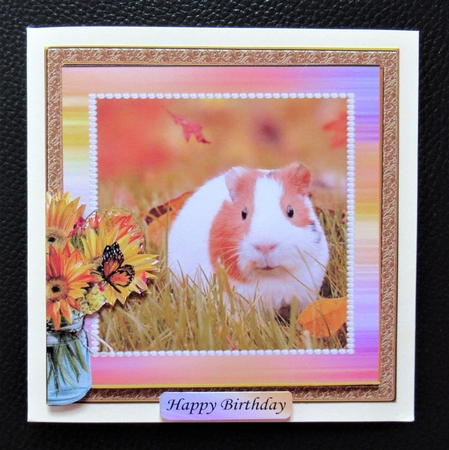 RAINBOW GUINEA PIG / HAMSTER MULTI SENTIMENT by Davina Rundle