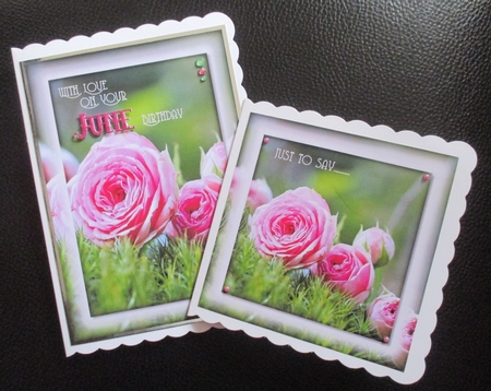 Floral Toppers and Tags 21 by Davina Rundle
