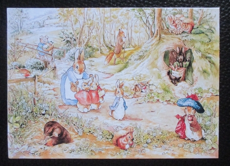 Peter Rabbit Quick Card by Davina Rundle