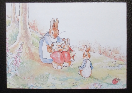 Peter Rabbit 3 Quick Card by Davina Rundle