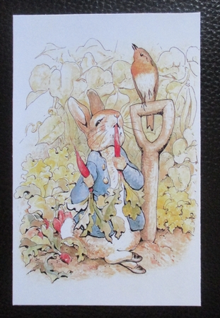 Peter Rabbit 5 Quick Card by Davina Rundle