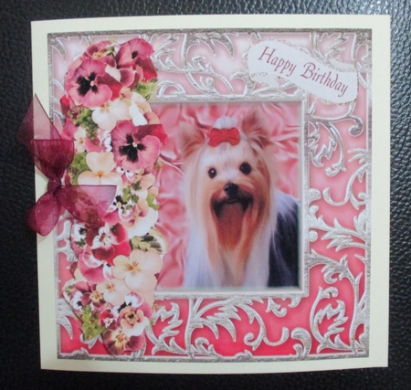 Beautiful Yorkie by Davina Rundle