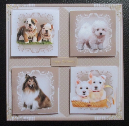 Pooches Forever by Davina Rundle