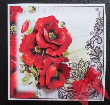 Poppy 1 by Davina Rundle