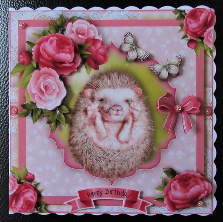 Cute Hedgehog Card Front Kit by Davina Rundle