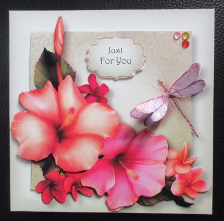 Hibiscus Dragonfly by Davina Rundle