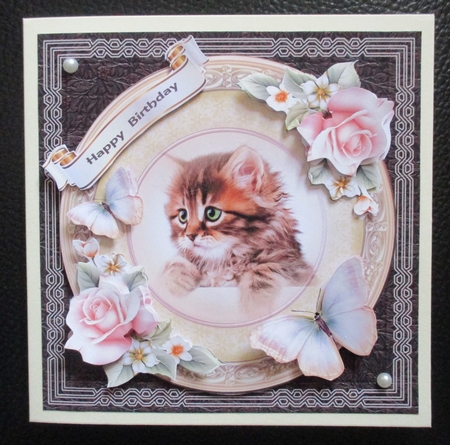 The cat brown by Davina Rundle