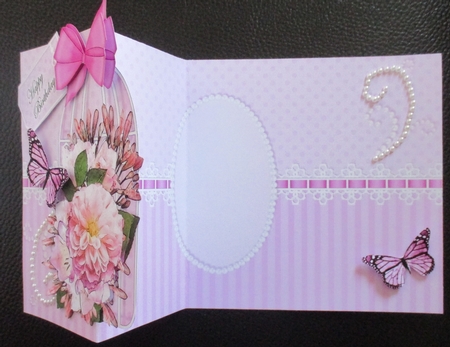 3D Shaped No-Hole Fold Back Mini Kit - Birdcage, Pretty in Pink, Butterflies & Lace   by Davina Rundle