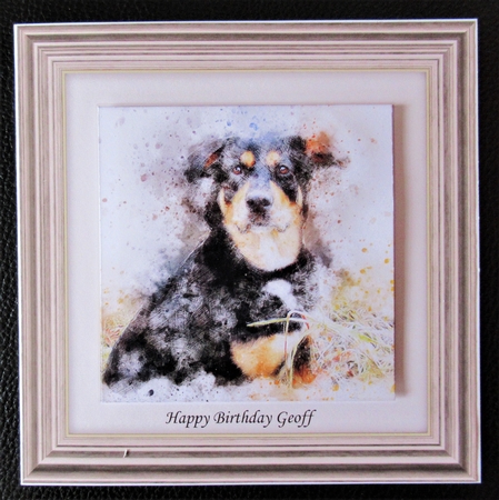 Dog 2  8x8 Card Front / Topper by Davina Rundle