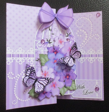 3D Shaped No-Hole Fold Back Mini Kit - Birdcage, Pretty Violas Butterflies & Lace  by Davina Rundle