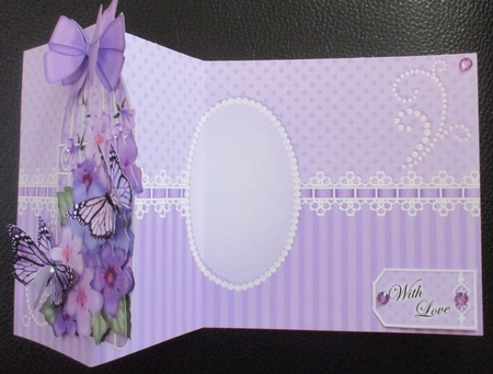 3D Shaped No-Hole Fold Back Mini Kit - Birdcage, Pretty Violas Butterflies & Lace  by Davina Rundle