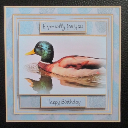 Swimming Duck Mini Kit by Davina Rundle