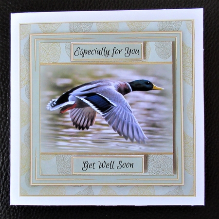 Flying Duck Mini Kit by Davina Rundle