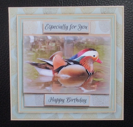 Mandarin Duck Mini Kit by Davina Rundle