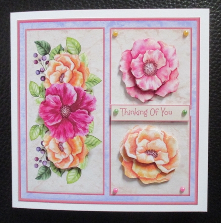Peony flower by Davina Rundle
