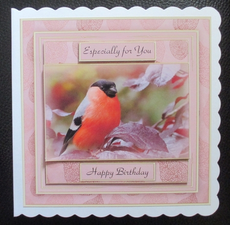Bullfinch Mini Kit by Davina Rundle
