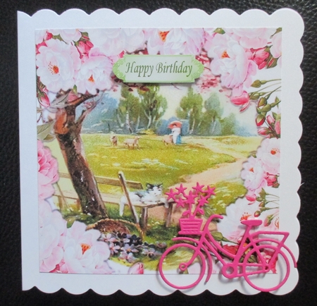 A stroll in a flower park framed with pink peonies 8x8 by Davina Rundle