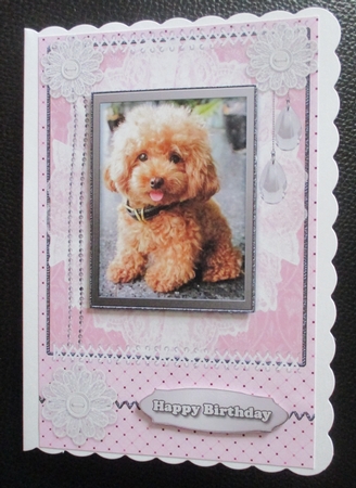 Cute Birthday dogs by Davina Rundle
