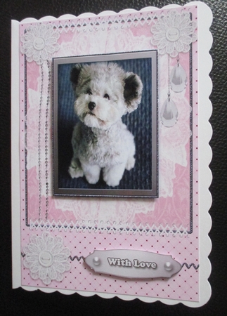 Cute Birthday dogs by Davina Rundle