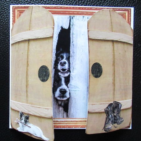THROUGH THE BARN DOORS  MULTI USE 6x6 PEEPING COLLIES by Davina Rundle