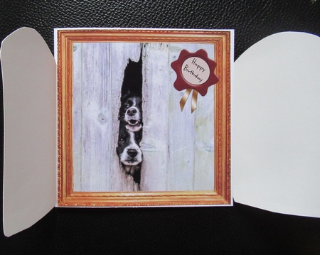 THROUGH THE BARN DOORS  MULTI USE 6x6 PEEPING COLLIES by Davina Rundle