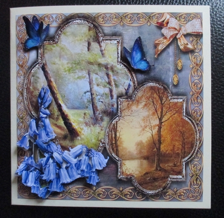 Woodland Walk 6 by Davina Rundle