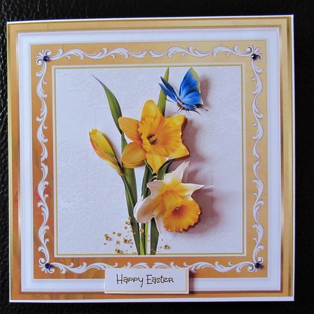 Spring Daffodil by Davina Rundle