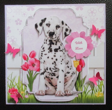DALMATIAN PUPPY by Davina Rundle