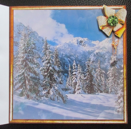 Winter Sports 1 by Davina Rundle