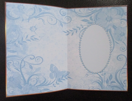 Aqua Blue Butterfly Blank Insert 2 by Davina Rundle