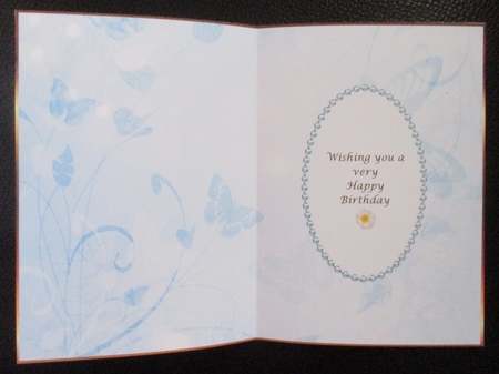 Pale Blue Butterfly Insert 1 by Davina Rundle