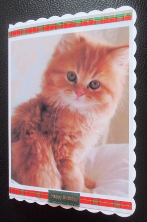 kitty Toppers for birthday thank you and much more by Davina Rundle
