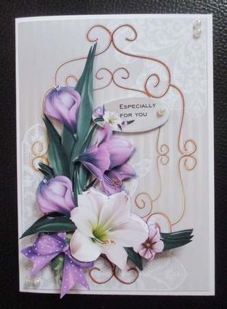 Wonderful Amaryllis Mini Kit by Davina Rundle