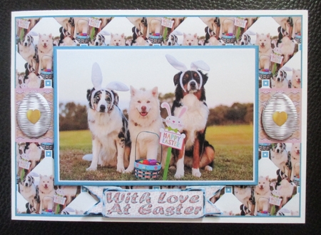 JJ PETS LOVE EASTER TOO DOGGIE PALS A5 by Davina Rundle