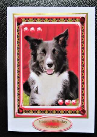  JJ LOVE MY DOG BORDER COLLIE 2 5X7 by Davina Rundle