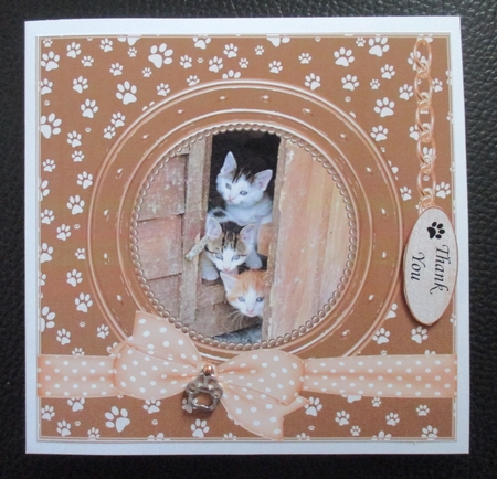 PAWSOME PEEPING KITTENS BIRTHDAY AND NUMEROUS OTHER SENTIMENTS by Davina Rundle