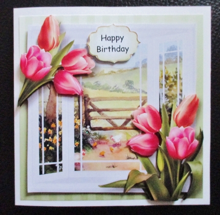 The White Bay Window - Tulips by Davina Rundle
