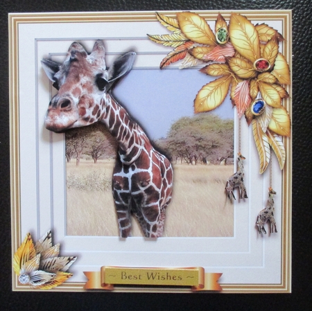 Animals Stepping Out - Giraffe by Davina Rundle