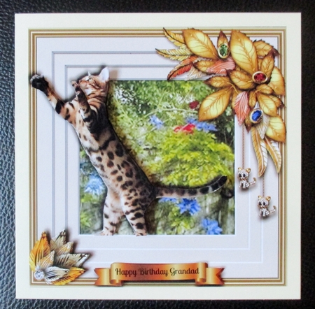 Animals Stepping Out - Tabby by Davina Rundle