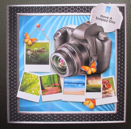 Have A Snappy Day by Davina Rundle