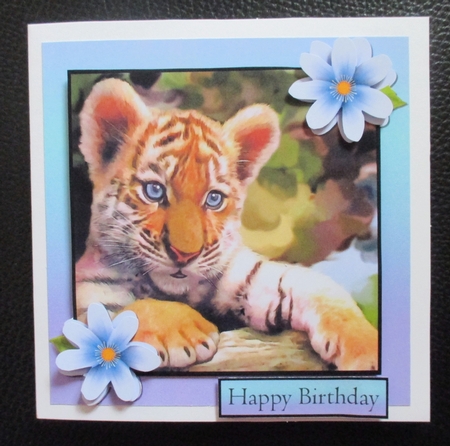 TIGER CUB  by Davina Rundle