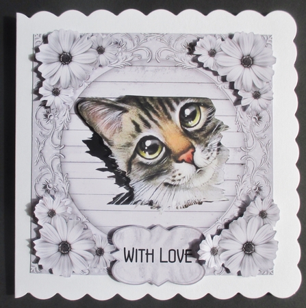 Thomas - 6 x 6 inch card front with decoupage by Davina Rundle