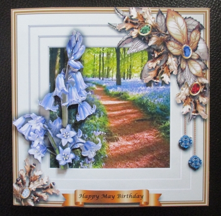 Blooms Bursting Out - Bluebells by Davina Rundle