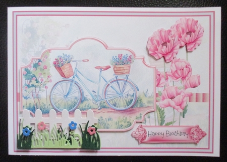 Bicycle and poppy by Davina Rundle