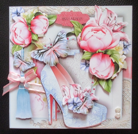 The Pink and Blue Lace Shoes  by Davina Rundle