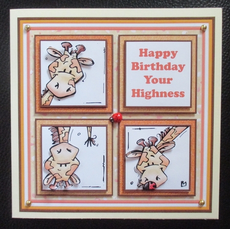 HAPPY BIRTHDAY YOUR HIGHNESS 7.5 Humorous Quick Layer Card Mini Kit by Davina Rundle