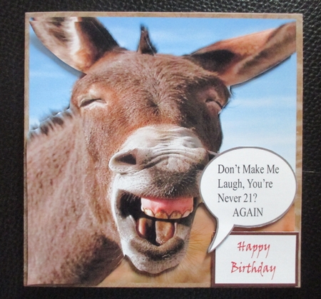 Dont Make Me Laugh by Davina Rundle